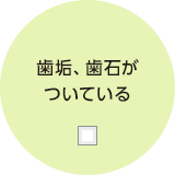 歯垢、歯石がついている